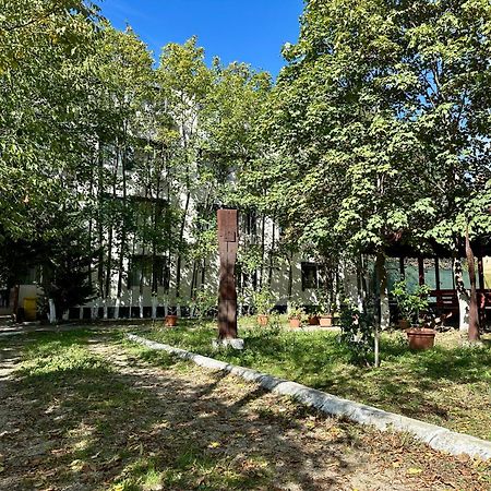 Hostel Horia Plopeni Zewnętrze zdjęcie